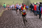 Senior mens 2018 British Inter Counties Cross Country Champs., Prestwold Hall, Loughborough. Photo: David T. Hewitson/Sports for All Pics